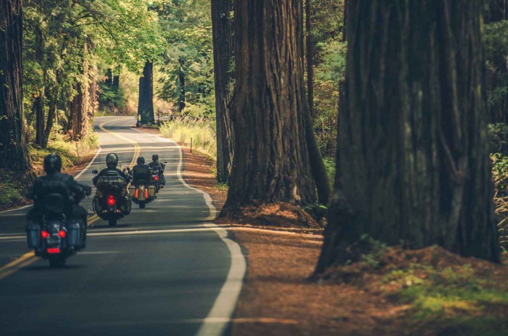 Motorcycle Rental