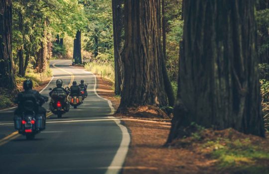 Motorcycle Rental2