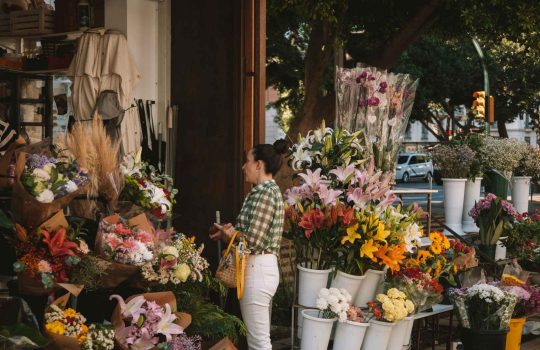 חנות פרחים2